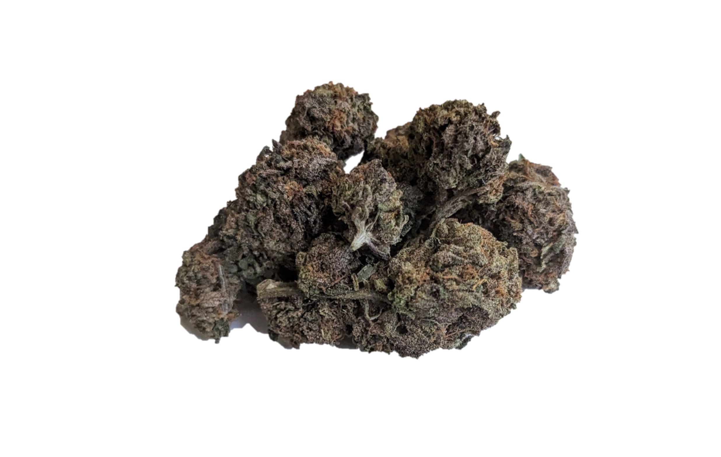 purple milk zkittles gorilla skittlez indica dominant hybrid diablo og sativa dominant hybrid marijuana cannabis flower bud zaza za loud pack bud smoke fire exotic exotics high dc delivery dc weed delivery md maryland va virginia washington dc gift shop gifts donation donations thc 420 dc dispensary near me weed near me loud alexandria fairfax annandale arlington falls church oxon hill national harbor temple hills md maryland gift weed shop