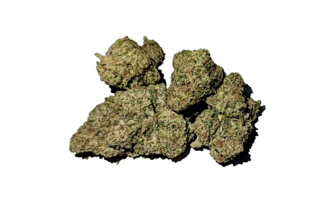 White 99 Marijuana Strain