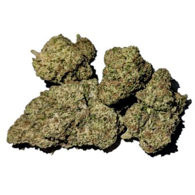 White 99 Marijuana Strain