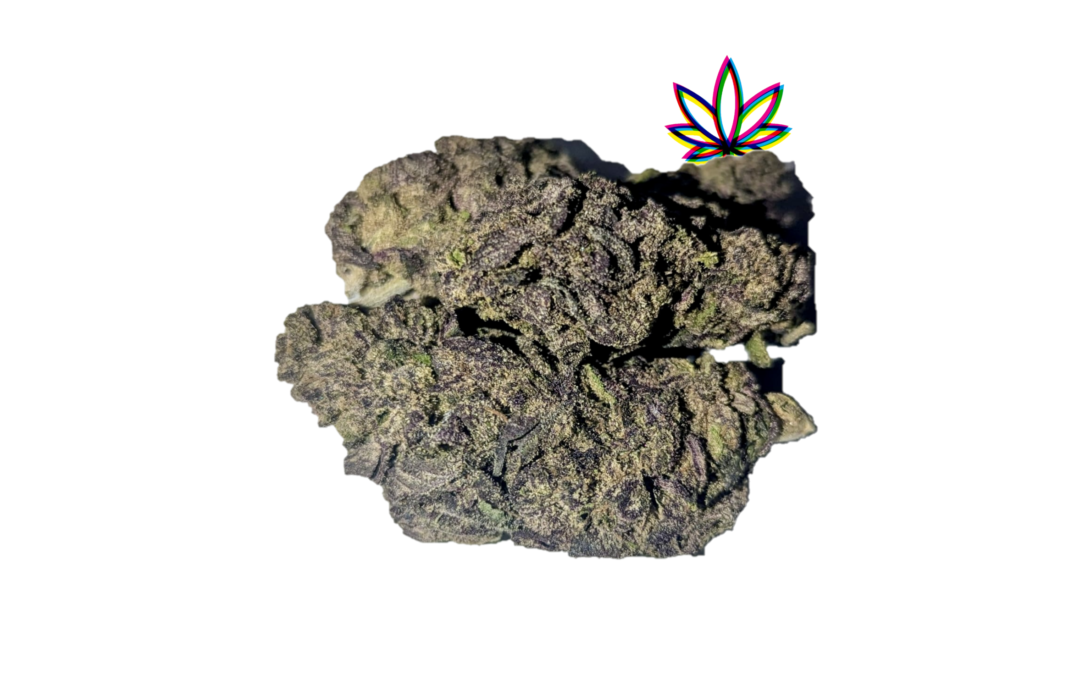 Purple Haze Marijuana Strain