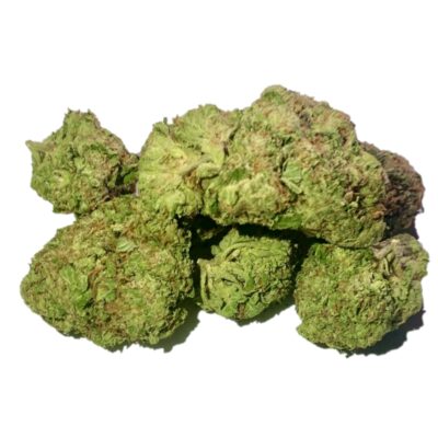 Hi-Octane Marijuana Strain