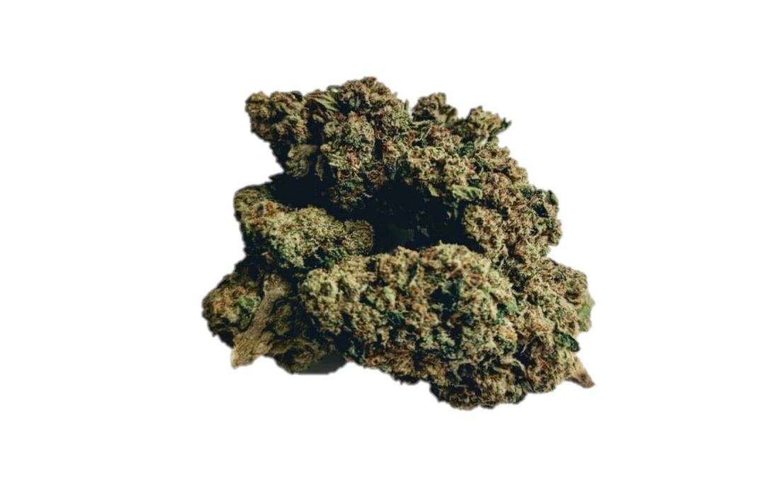 Orange Z Marijuana Strain