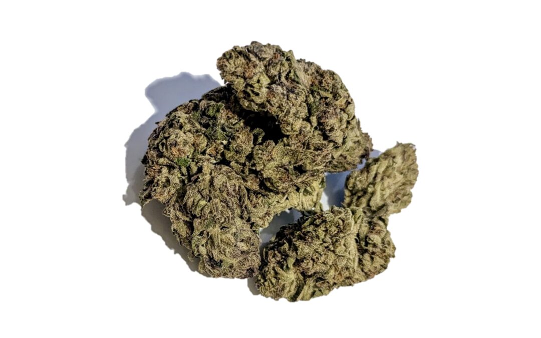 Girl Scout Cookies Marijuana Strain