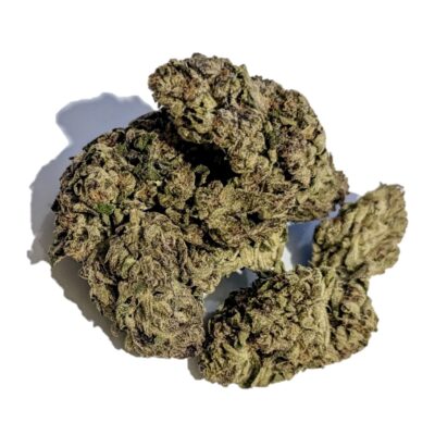Girl Scout Cookies Marijuana Strain