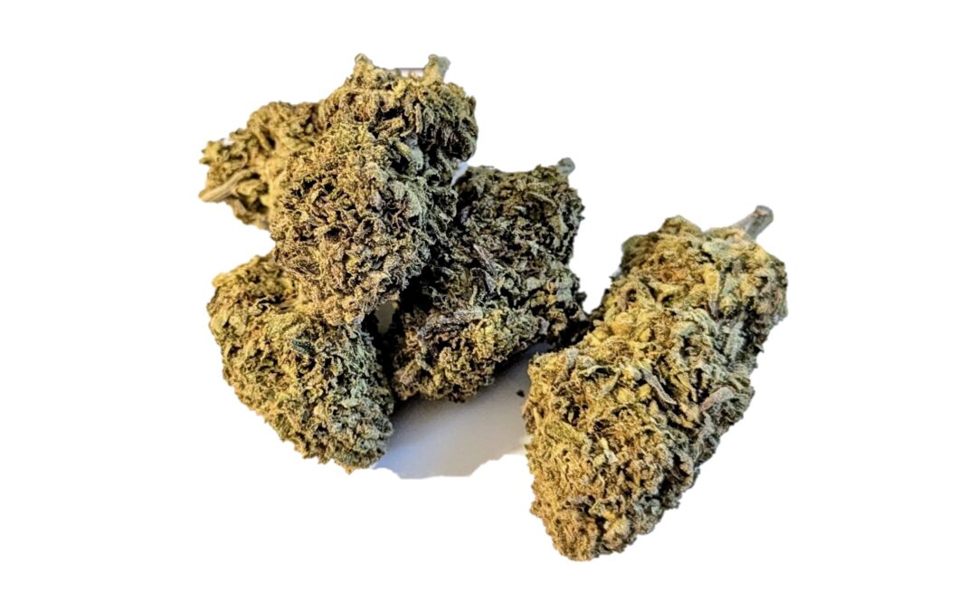 Permanent Marker Marijuana Strain