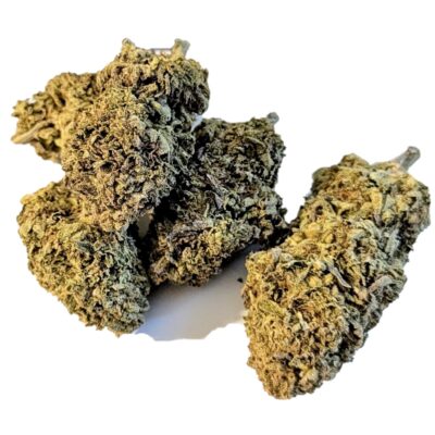 Permanent Marker Marijuana Strain
