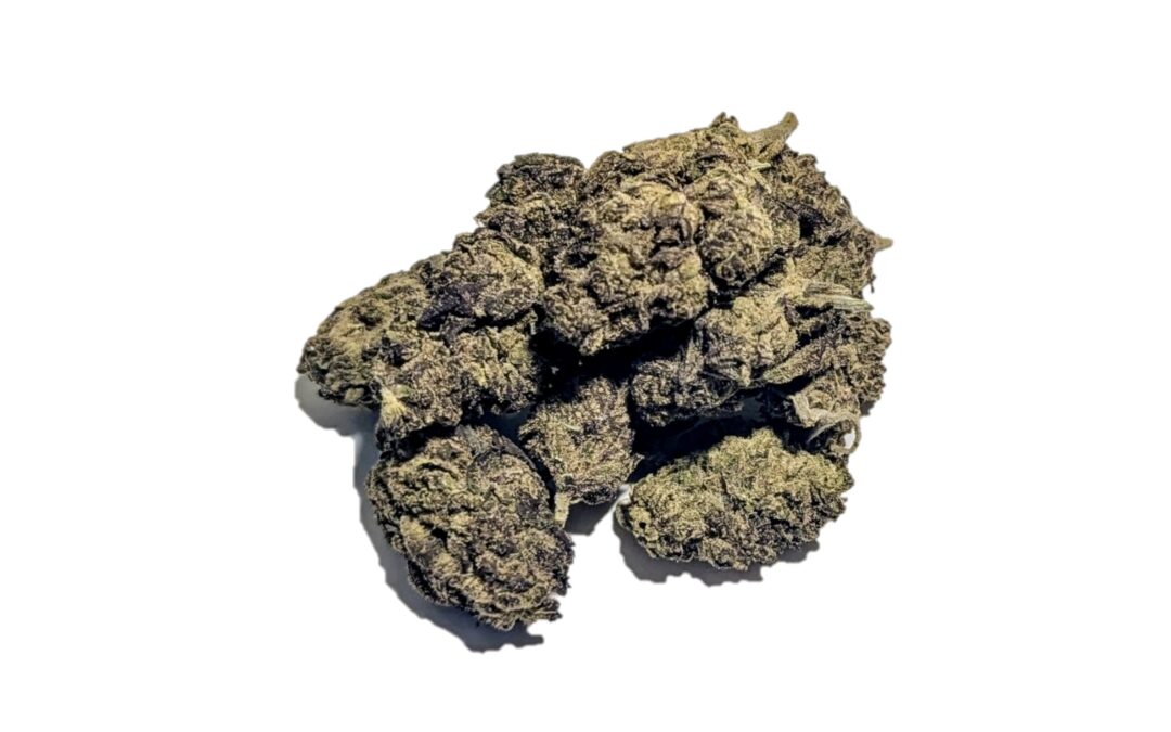 Gelato 47 Marijuana Strain