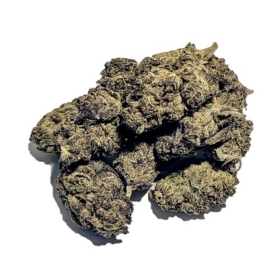 Gelato 47 Marijuana Strain