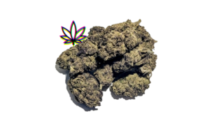 gelato 47 indica mendocino purps hybrid girl scout cookies hybrid chem i-95 indica dominant hybrid locktite ice cream gelato indica dominant hybrid magic melon sativa gorilla cookie blueberry zkittles indica dominant hybrid godfather og indica citrus plus 2.0 indica gelato zkittles indica dominant hybrid lava cake indica dominant hybrid cookie dough hybrid jealousy indica dominant hybrid tropicana cookies super glue indica dominant hybrid frosted melon cookies hybrid sundae driver sour apple purple runtz sativa indica dominant hybrid pyt jack indica dominant hybrid melon mint pink rozay sativa moonbow island og indica dominant hybrid cannabis marijuana flower strain strand weed near me torch loud pack smoke fire bud high dc delivery exotic smoke dc weed delivery dispensary near me gift gifts weed marijuana va virginia dispensary weed gift shops md maryland oxon hill temple hills national harbor alexandria falls church fairfax arlington weed shop 420dc 420 dc gift gifts black cherry punch indica dominant hybrid fairfax annandale arlington