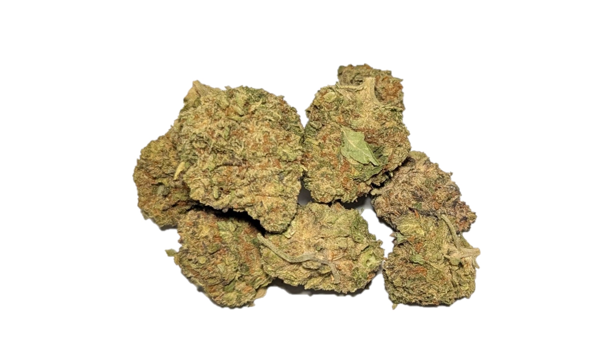 gelonade girl scout cookies hybrid chem i-95 indica dominant hybrid locktite ice cream gelato indica dominant hybrid magic melon sativa gorilla cookie blueberry zkittles indica dominant hybrid godfather og indica citrus plus 2.0 indica gelato zkittles indica dominant hybrid lava cake indica dominant hybrid cookie dough hybrid jealousy indica dominant hybrid tropicana cookies super glue indica dominant hybrid frosted melon cookies hybrid sundae driver sour apple purple runtz sativa indica dominant hybrid pyt jack indica dominant hybrid melon mint pink rozay sativa moonbow island og indica dominant hybrid cannabis marijuana flower strain strand weed near me torch loud pack smoke fire bud high dc delivery exotic smoke dc weed delivery dispensary near me gift gifts weed marijuana va virginia dispensary weed gift shops md maryland oxon hill temple hills national harbor alexandria falls church fairfax arlington weed shop 420dc 420 dc gift gifts black cherry punch indica dominant hybrid fairfax annandale arlington