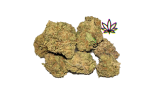 gelonade girl scout cookies hybrid chem i-95 indica dominant hybrid locktite ice cream gelato indica dominant hybrid magic melon sativa gorilla cookie blueberry zkittles indica dominant hybrid godfather og indica citrus plus 2.0 indica gelato zkittles indica dominant hybrid lava cake indica dominant hybrid cookie dough hybrid jealousy indica dominant hybrid tropicana cookies super glue indica dominant hybrid frosted melon cookies hybrid sundae driver sour apple purple runtz sativa indica dominant hybrid pyt jack indica dominant hybrid melon mint pink rozay sativa moonbow island og indica dominant hybrid cannabis marijuana flower strain strand weed near me torch loud pack smoke fire bud high dc delivery exotic smoke dc weed delivery dispensary near me gift gifts weed marijuana va virginia dispensary weed gift shops md maryland oxon hill temple hills national harbor alexandria falls church fairfax arlington weed shop 420dc 420 dc gift gifts black cherry punch indica dominant hybrid fairfax annandale arlington