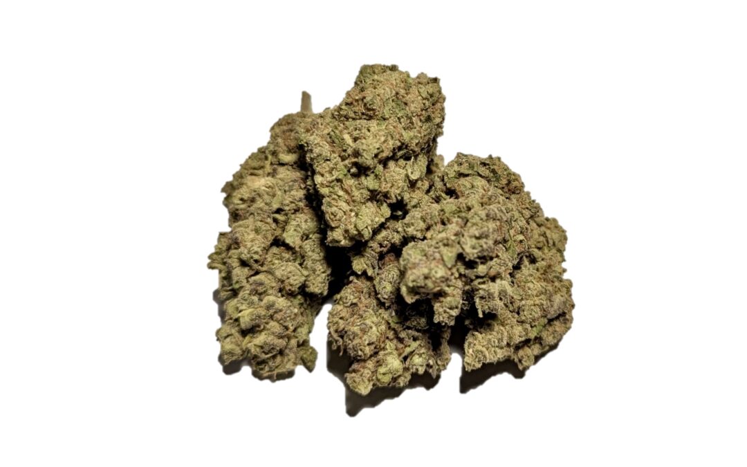 Silver Surfer Marijuana Strain