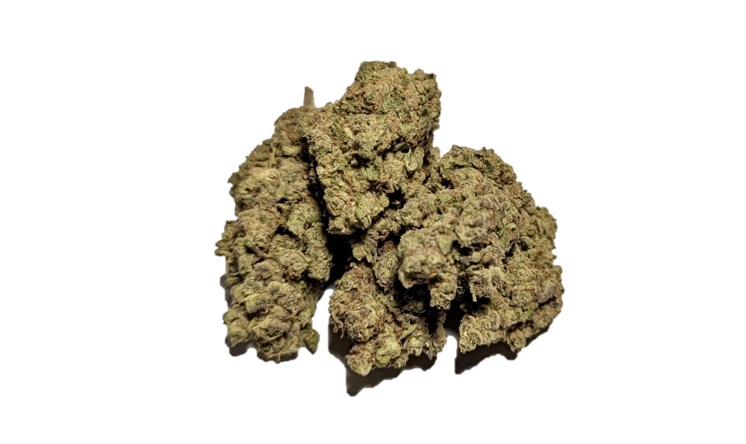 silver surfer sativa dominant hybrid gelato 47 indica mendocino purps hybrid girl scout cookies hybrid chem i-95 indica dominant hybrid locktite ice cream gelato indica dominant hybrid magic melon sativa gorilla cookie blueberry zkittles indica dominant hybrid godfather og indica citrus plus 2.0 indica gelato zkittles indica dominant hybrid lava cake indica dominant hybrid cookie dough hybrid jealousy indica dominant hybrid tropicana cookies super glue indica dominant hybrid frosted melon cookies hybrid sundae driver sour apple purple runtz sativa indica dominant hybrid pyt jack indica dominant hybrid melon mint pink rozay sativa moonbow island og indica dominant hybrid cannabis marijuana flower strain strand weed near me torch loud pack smoke fire bud high dc delivery exotic smoke dc weed delivery dispensary near me gift gifts weed marijuana va virginia dispensary weed gift shops md maryland oxon hill temple hills national harbor alexandria falls church fairfax arlington weed shop 420dc 420 dc gift gifts black cherry punch indica dominant hybrid fairfax annandale arlington