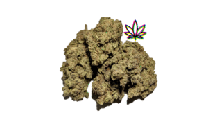 silver surfer sativa dominant hybrid gelato 47 indica mendocino purps hybrid girl scout cookies hybrid chem i-95 indica dominant hybrid locktite ice cream gelato indica dominant hybrid magic melon sativa gorilla cookie blueberry zkittles indica dominant hybrid godfather og indica citrus plus 2.0 indica gelato zkittles indica dominant hybrid lava cake indica dominant hybrid cookie dough hybrid jealousy indica dominant hybrid tropicana cookies super glue indica dominant hybrid frosted melon cookies hybrid sundae driver sour apple purple runtz sativa indica dominant hybrid pyt jack indica dominant hybrid melon mint pink rozay sativa moonbow island og indica dominant hybrid cannabis marijuana flower strain strand weed near me torch loud pack smoke fire bud high dc delivery exotic smoke dc weed delivery dispensary near me gift gifts weed marijuana va virginia dispensary weed gift shops md maryland oxon hill temple hills national harbor alexandria falls church fairfax arlington weed shop 420dc 420 dc gift gifts black cherry punch indica dominant hybrid fairfax annandale arlington
