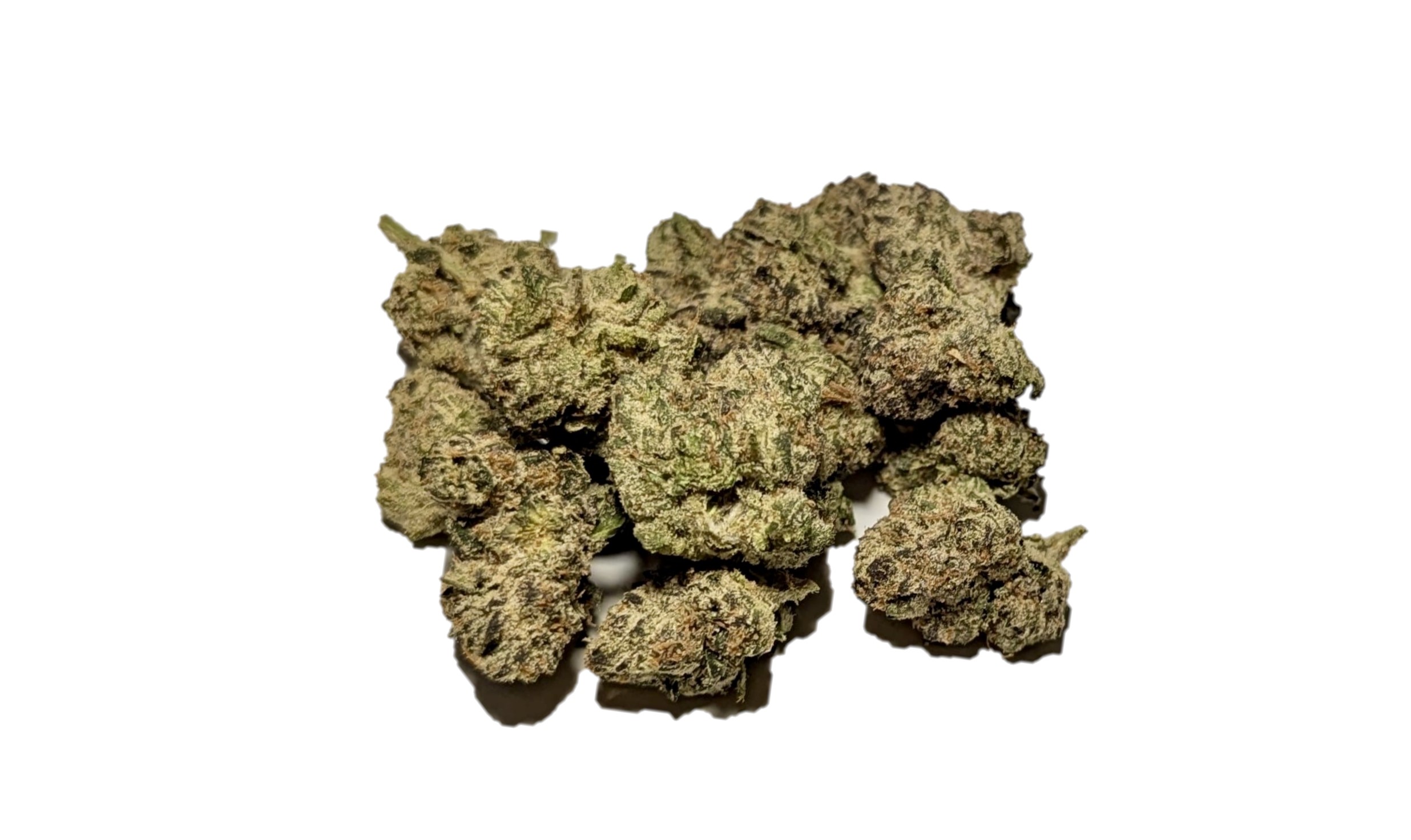 spk sour patch sativa dominant hybrid sugar crush biscotti y2 ice cream gelato indica dominant hybrid magic melon sativa gorilla cookie blueberry zkittles indica dominant hybrid godfather og indica citrus plus 2.0 indica gelato zkittles indica dominant hybrid lava cake indica dominant hybrid cookie dough hybrid jealousy indica dominant hybrid tropicana cookies super glue indica dominant hybrid frosted melon cookies hybrid sundae driver sour apple purple runtz sativa indica dominant hybrid pyt jack indica dominant hybrid melon mint pink rozay sativa moonbow island og indica dominant hybrid cannabis marijuana flower strain strand weed near me torch loud pack smoke fire bud high dc delivery exotic smoke dc weed delivery dispensary near me gift gifts weed marijuana va virginia dispensary weed gift shops md maryland oxon hill temple hills national harbor alexandria falls church fairfax arlington weed shop 420dc 420 dc gift gifts black cherry punch indica dominant hybrid fairfax annandale arlington