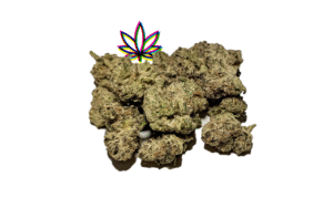 spk sour patch sativa dominant hybrid sugar crush biscotti y2 ice cream gelato indica dominant hybrid magic melon sativa gorilla cookie blueberry zkittles indica dominant hybrid godfather og indica citrus plus 2.0 indica gelato zkittles indica dominant hybrid lava cake indica dominant hybrid cookie dough hybrid jealousy indica dominant hybrid tropicana cookies super glue indica dominant hybrid frosted melon cookies hybrid sundae driver sour apple purple runtz sativa indica dominant hybrid pyt jack indica dominant hybrid melon mint pink rozay sativa moonbow island og indica dominant hybrid cannabis marijuana flower strain strand weed near me torch loud pack smoke fire bud high dc delivery exotic smoke dc weed delivery dispensary near me gift gifts weed marijuana va virginia dispensary weed gift shops md maryland oxon hill temple hills national harbor alexandria falls church fairfax arlington weed shop 420dc 420 dc gift gifts black cherry punch indica dominant hybrid fairfax annandale arlington