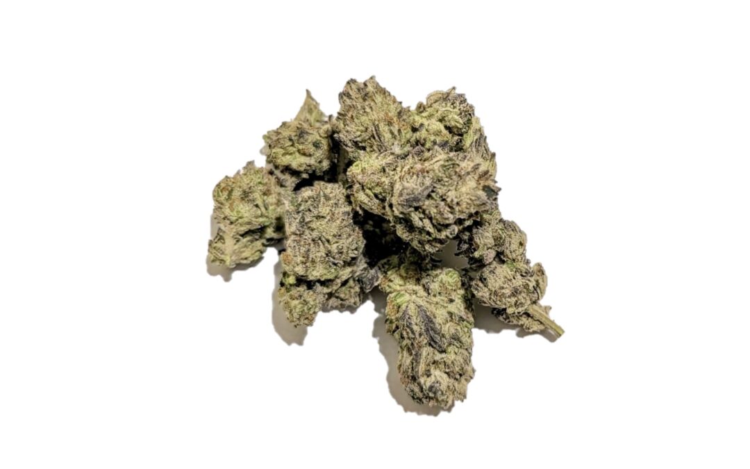 Cheetah Piss Marijuana Strain