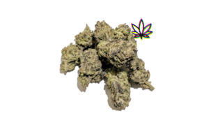 cheetah piss sativa gelonade girl scout cookies hybrid chem i-95 indica dominant hybrid locktite ice cream gelato indica dominant hybrid magic melon sativa gorilla cookie blueberry zkittles indica dominant hybrid godfather og indica citrus plus 2.0 indica gelato zkittles indica dominant hybrid lava cake indica dominant hybrid cookie dough hybrid jealousy indica dominant hybrid tropicana cookies super glue indica dominant hybrid frosted melon cookies hybrid sundae driver sour apple purple runtz sativa indica dominant hybrid pyt jack indica dominant hybrid melon mint pink rozay sativa moonbow island og indica dominant hybrid cannabis marijuana flower strain strand weed near me torch loud pack smoke fire bud high dc delivery exotic smoke dc weed delivery dispensary near me gift gifts weed marijuana va virginia dispensary weed gift shops md maryland oxon hill temple hills national harbor alexandria falls church fairfax arlington weed shop 420dc 420 dc gift gifts black cherry punch indica dominant hybrid fairfax annandale arlington
