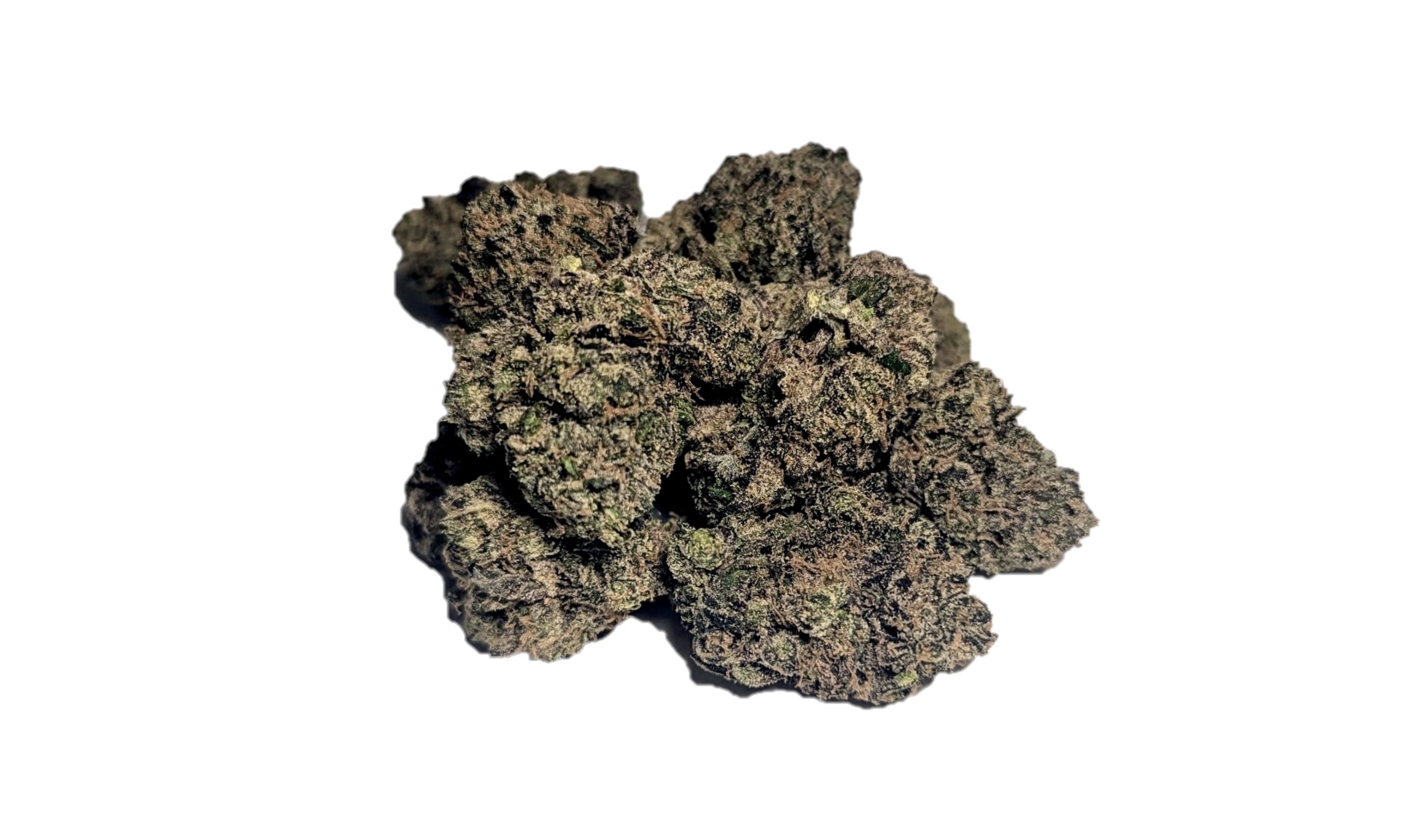 crowdwalker indica spk sour patch sativa dominant hybrid sugar crush biscotti y2 ice cream gelato indica dominant hybrid magic melon sativa gorilla cookie blueberry zkittles indica dominant hybrid godfather og indica citrus plus 2.0 indica gelato zkittles indica dominant hybrid lava cake indica dominant hybrid cookie dough hybrid jealousy indica dominant hybrid tropicana cookies super glue indica dominant hybrid frosted melon cookies hybrid sundae driver sour apple purple runtz sativa indica dominant hybrid pyt jack indica dominant hybrid melon mint pink rozay sativa moonbow island og indica dominant hybrid cannabis marijuana flower strain strand weed near me torch loud pack smoke fire bud high dc delivery exotic smoke dc weed delivery dispensary near me gift gifts weed marijuana va virginia dispensary weed gift shops md maryland oxon hill temple hills national harbor alexandria falls church fairfax arlington weed shop 420dc 420 dc gift gifts black cherry punch indica dominant hybrid fairfax annandale arlington