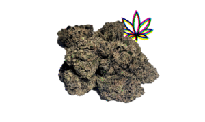 crowdwalker indica spk sour patch sativa dominant hybrid sugar crush biscotti y2 ice cream gelato indica dominant hybrid magic melon sativa gorilla cookie blueberry zkittles indica dominant hybrid godfather og indica citrus plus 2.0 indica gelato zkittles indica dominant hybrid lava cake indica dominant hybrid cookie dough hybrid jealousy indica dominant hybrid tropicana cookies super glue indica dominant hybrid frosted melon cookies hybrid sundae driver sour apple purple runtz sativa indica dominant hybrid pyt jack indica dominant hybrid melon mint pink rozay sativa moonbow island og indica dominant hybrid cannabis marijuana flower strain strand weed near me torch loud pack smoke fire bud high dc delivery exotic smoke dc weed delivery dispensary near me gift gifts weed marijuana va virginia dispensary weed gift shops md maryland oxon hill temple hills national harbor alexandria falls church fairfax arlington weed shop 420dc 420 dc gift gifts black cherry punch indica dominant hybrid fairfax annandale arlington