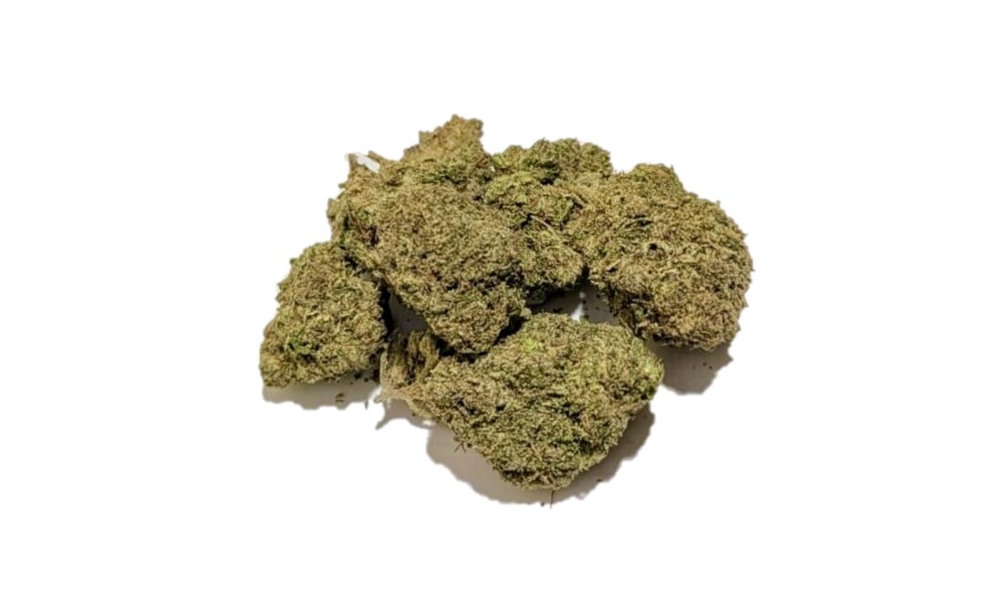 Oreo Blizzard Marijuana Strain