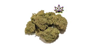 oreo blizzard indica gelonade girl scout cookies hybrid chem i-95 indica dominant hybrid locktite ice cream gelato indica dominant hybrid magic melon sativa gorilla cookie blueberry zkittles indica dominant hybrid godfather og indica citrus plus 2.0 indica gelato zkittles indica dominant hybrid lava cake indica dominant hybrid cookie dough hybrid jealousy indica dominant hybrid tropicana cookies super glue indica dominant hybrid frosted melon cookies hybrid sundae driver sour apple purple runtz sativa indica dominant hybrid pyt jack indica dominant hybrid melon mint pink rozay sativa moonbow island og indica dominant hybrid cannabis marijuana flower strain strand weed near me torch loud pack smoke fire bud high dc delivery exotic smoke dc weed delivery dispensary near me gift gifts weed marijuana va virginia dispensary weed gift shops md maryland oxon hill temple hills national harbor alexandria falls church fairfax arlington weed shop 420dc 420 dc gift gifts black cherry punch indica dominant hybrid fairfax annandale arlington