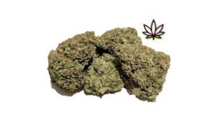 pink zoap sativa dominant oreo blizzard indica gelonade girl scout cookies hybrid chem i-95 indica dominant hybrid locktite ice cream gelato indica dominant hybrid magic melon sativa gorilla cookie blueberry zkittles indica dominant hybrid godfather og indica citrus plus 2.0 indica gelato zkittles indica dominant hybrid lava cake indica dominant hybrid cookie dough hybrid jealousy indica dominant hybrid tropicana cookies super glue indica dominant hybrid frosted melon cookies hybrid sundae driver sour apple purple runtz sativa indica dominant hybrid pyt jack indica dominant hybrid melon mint pink rozay sativa moonbow island og indica dominant hybrid cannabis marijuana flower strain strand weed near me torch loud pack smoke fire bud high dc delivery exotic smoke dc weed delivery dispensary near me gift gifts weed marijuana va virginia dispensary weed gift shops md maryland oxon hill temple hills national harbor alexandria falls church fairfax arlington weed shop 420dc 420 dc gift gifts black cherry punch indica dominant hybrid fairfax annandale arlington