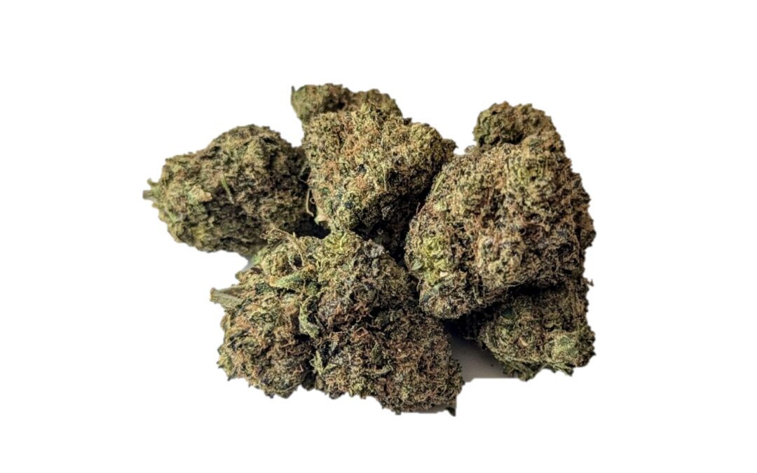 Sharklato Marijuana Strain