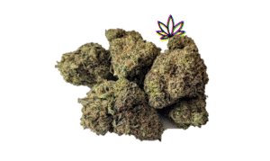 sharklato hybrid crowdwalker indica spk sour patch sativa dominant hybrid sugar crush biscotti y2 ice cream gelato indica dominant hybrid magic melon sativa gorilla cookie blueberry zkittles indica dominant hybrid godfather og indica citrus plus 2.0 indica gelato zkittles indica dominant hybrid lava cake indica dominant hybrid cookie dough hybrid jealousy indica dominant hybrid tropicana cookies super glue indica dominant hybrid frosted melon cookies hybrid sundae driver sour apple purple runtz sativa indica dominant hybrid pyt jack indica dominant hybrid melon mint pink rozay sativa moonbow island og indica dominant hybrid cannabis marijuana flower strain strand weed near me torch loud pack smoke fire bud high dc delivery exotic smoke dc weed delivery dispensary near me gift gifts weed marijuana va virginia dispensary weed gift shops md maryland oxon hill temple hills national harbor alexandria falls church fairfax arlington weed shop 420dc 420 dc gift gifts black cherry punch indica dominant hybrid fairfax annandale arlington