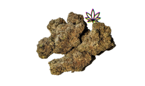sour ape sativa sharklato hybrid crowdwalker indica spk sour patch sativa dominant hybrid sugar crush biscotti y2 ice cream gelato indica dominant hybrid magic melon sativa gorilla cookie blueberry zkittles indica dominant hybrid godfather og indica citrus plus 2.0 indica gelato zkittles indica dominant hybrid lava cake indica dominant hybrid cookie dough hybrid jealousy indica dominant hybrid tropicana cookies super glue indica dominant hybrid frosted melon cookies hybrid sundae driver sour apple purple runtz sativa indica dominant hybrid pyt jack indica dominant hybrid melon mint pink rozay sativa moonbow island og indica dominant hybrid cannabis marijuana flower strain strand weed near me torch loud pack smoke fire bud high dc delivery exotic smoke dc weed delivery dispensary near me gift gifts weed marijuana va virginia dispensary weed gift shops md maryland oxon hill temple hills national harbor alexandria falls church fairfax arlington weed shop 420dc 420 dc gift gifts black cherry punch indica dominant hybrid fairfax annandale arlington