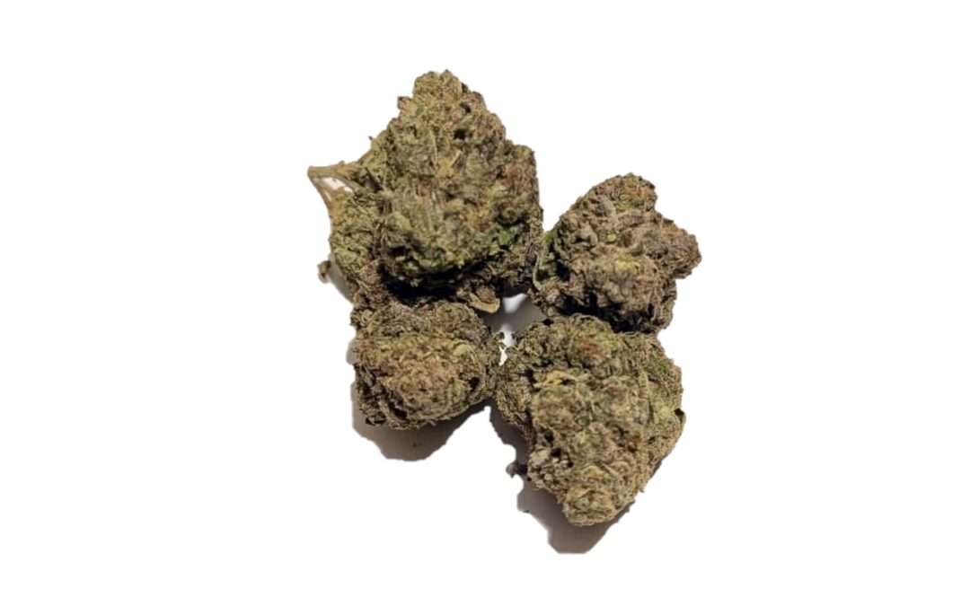 Space Queen Marijuana Strain
