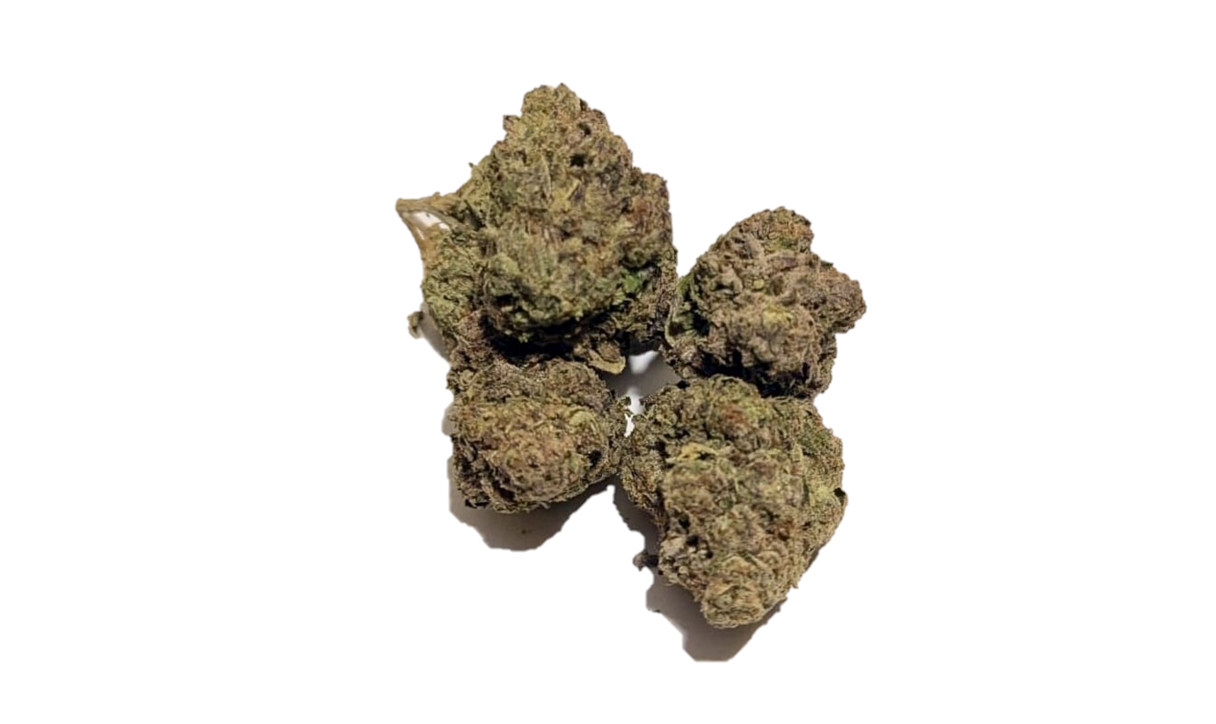 space queen pink zoap sativa dominant oreo blizzard indica gelonade girl scout cookies hybrid chem i-95 indica dominant hybrid locktite ice cream gelato indica dominant hybrid magic melon sativa gorilla cookie blueberry zkittles indica dominant hybrid godfather og indica citrus plus 2.0 indica gelato zkittles indica dominant hybrid lava cake indica dominant hybrid cookie dough hybrid jealousy indica dominant hybrid tropicana cookies super glue indica dominant hybrid frosted melon cookies hybrid sundae driver sour apple purple runtz sativa indica dominant hybrid pyt jack indica dominant hybrid melon mint pink rozay sativa moonbow island og indica dominant hybrid cannabis marijuana flower strain strand weed near me torch loud pack smoke fire bud high dc delivery exotic smoke dc weed delivery dispensary near me gift gifts weed marijuana va virginia dispensary weed gift shops md maryland oxon hill temple hills national harbor alexandria falls church fairfax arlington weed shop 420dc 420 dc gift gifts black cherry punch indica dominant hybrid fairfax annandale arlington