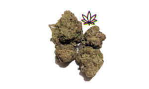 space queen pink zoap sativa dominant oreo blizzard indica gelonade girl scout cookies hybrid chem i-95 indica dominant hybrid locktite ice cream gelato indica dominant hybrid magic melon sativa gorilla cookie blueberry zkittles indica dominant hybrid godfather og indica citrus plus 2.0 indica gelato zkittles indica dominant hybrid lava cake indica dominant hybrid cookie dough hybrid jealousy indica dominant hybrid tropicana cookies super glue indica dominant hybrid frosted melon cookies hybrid sundae driver sour apple purple runtz sativa indica dominant hybrid pyt jack indica dominant hybrid melon mint pink rozay sativa moonbow island og indica dominant hybrid cannabis marijuana flower strain strand weed near me torch loud pack smoke fire bud high dc delivery exotic smoke dc weed delivery dispensary near me gift gifts weed marijuana va virginia dispensary weed gift shops md maryland oxon hill temple hills national harbor alexandria falls church fairfax arlington weed shop 420dc 420 dc gift gifts black cherry punch indica dominant hybrid fairfax annandale arlington