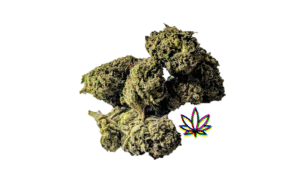 thc bomb hybrid space queen pink zoap sativa dominant oreo blizzard indica gelonade girl scout cookies hybrid chem i-95 indica dominant hybrid locktite ice cream gelato indica dominant hybrid magic melon sativa gorilla cookie blueberry zkittles indica dominant hybrid godfather og indica citrus plus 2.0 indica gelato zkittles indica dominant hybrid lava cake indica dominant hybrid cookie dough hybrid jealousy indica dominant hybrid tropicana cookies super glue indica dominant hybrid frosted melon cookies hybrid sundae driver sour apple purple runtz sativa indica dominant hybrid pyt jack indica dominant hybrid melon mint pink rozay sativa moonbow island og indica dominant hybrid cannabis marijuana flower strain strand weed near me torch loud pack smoke fire bud high dc delivery exotic smoke dc weed delivery dispensary near me gift gifts weed marijuana va virginia dispensary weed gift shops md maryland oxon hill temple hills national harbor alexandria falls church fairfax arlington weed shop 420dc 420 dc gift gifts black cherry punch indica dominant hybrid fairfax annandale arlington