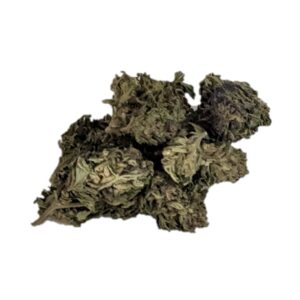 neon sunshine blue diesel dispensary weed cannabis tree weed shop dc va virginia maryland alexandria fairfax annandale arlington county md oxon hills temple hills national harbor prince george southeast georgetown dc weed delivery gift shop flower edibles cart cartridge thc 420 dispensary near me high dc indica sativa hybrid hammered horse cherry zlushie bakers dozen