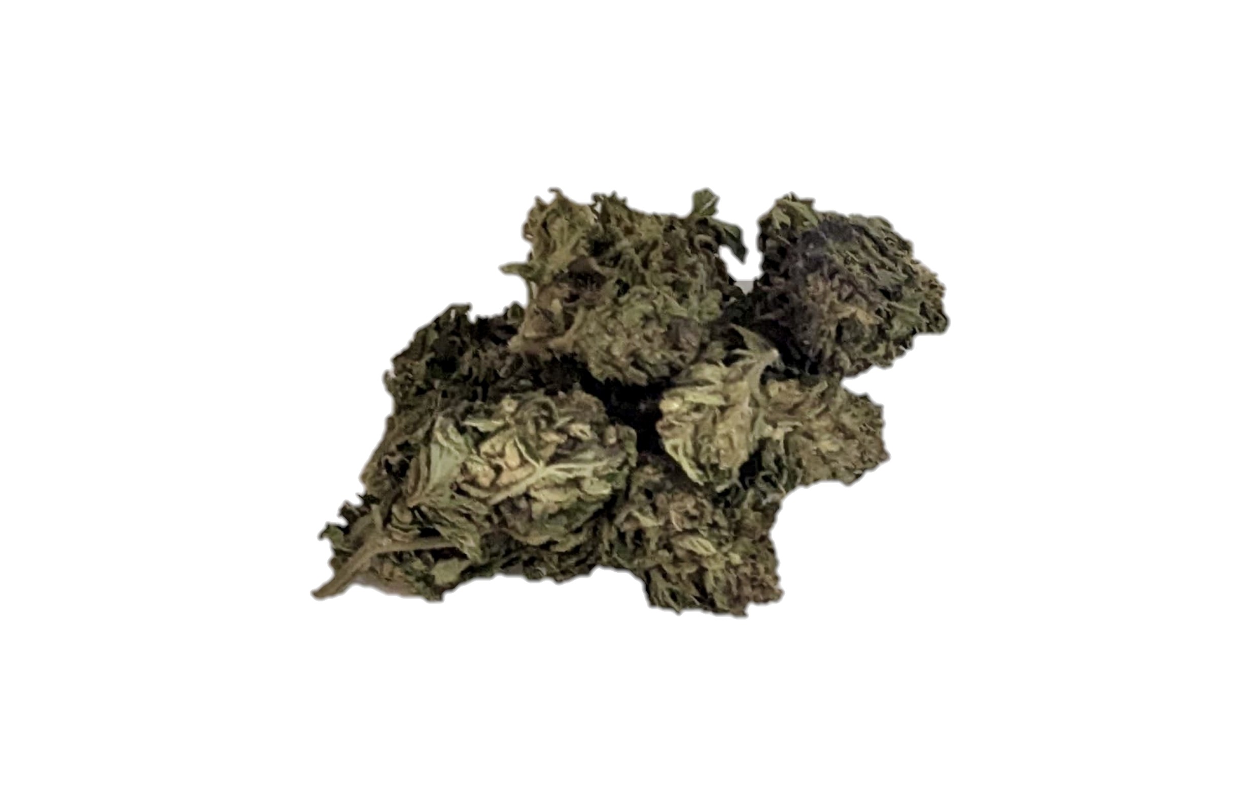 neon sunshine blue diesel dispensary weed cannabis tree weed shop dc va virginia maryland alexandria fairfax annandale arlington county md oxon hills temple hills national harbor prince george southeast georgetown dc weed delivery gift shop flower edibles cart cartridge thc 420 dispensary near me high dc indica sativa hybrid hammered horse cherry zlushie bakers dozen