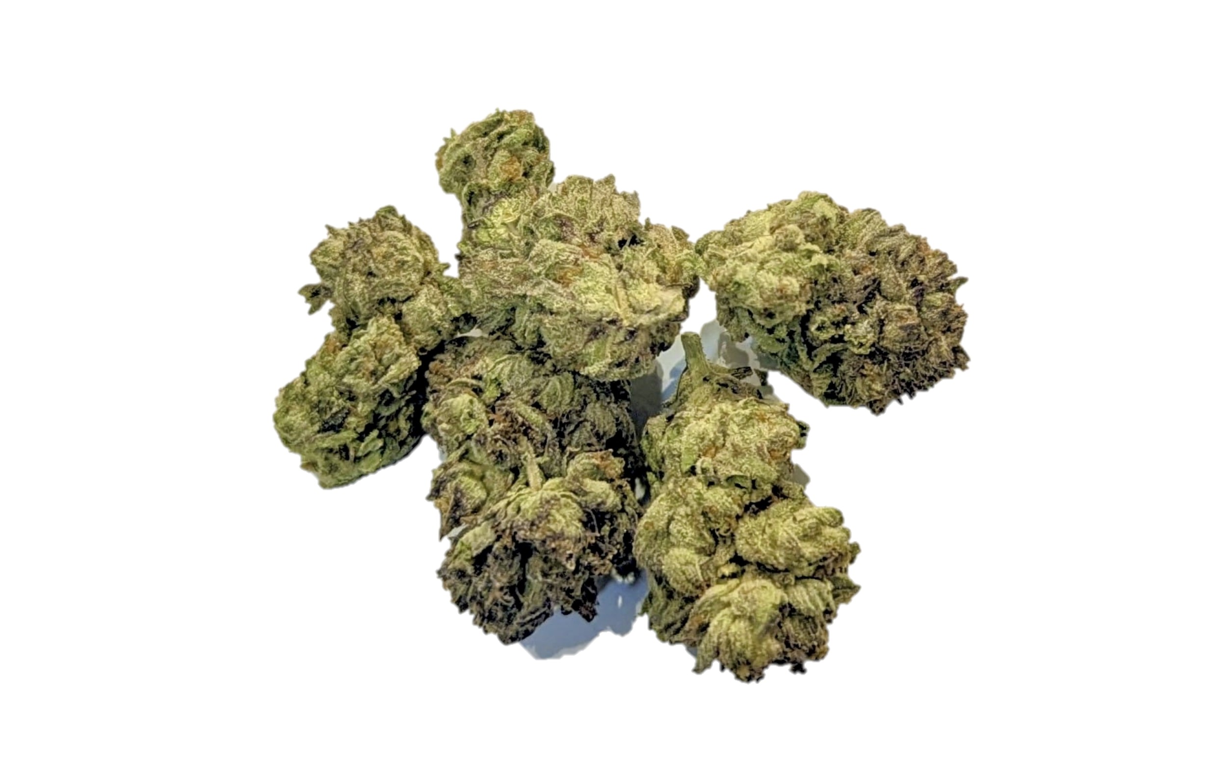 orange sherbert crasher dispensary weed cannabis tree weed shop dc va virginia maryland alexandria fairfax annandale arlington county md oxon hills temple hills national harbor prince george southeast georgetown dc weed delivery gift shop flower edibles cart cartridge thc 420 dispensary near me high dc indica sativa hybrid hammered horse hollywood haze indica moneyball blue widow fruit punch haze fire bubba