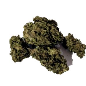 orange sherbert crasher dispensary weed cannabis tree weed shop dc va virginia maryland alexandria fairfax annandale arlington county md oxon hills temple hills national harbor prince george southeast georgetown dc weed delivery gift shop flower edibles cart cartridge thc 420 dispensary near me high dc indica sativa hybrid hammered horse hollywood haze indica moneyball blue widow fruit punch haze