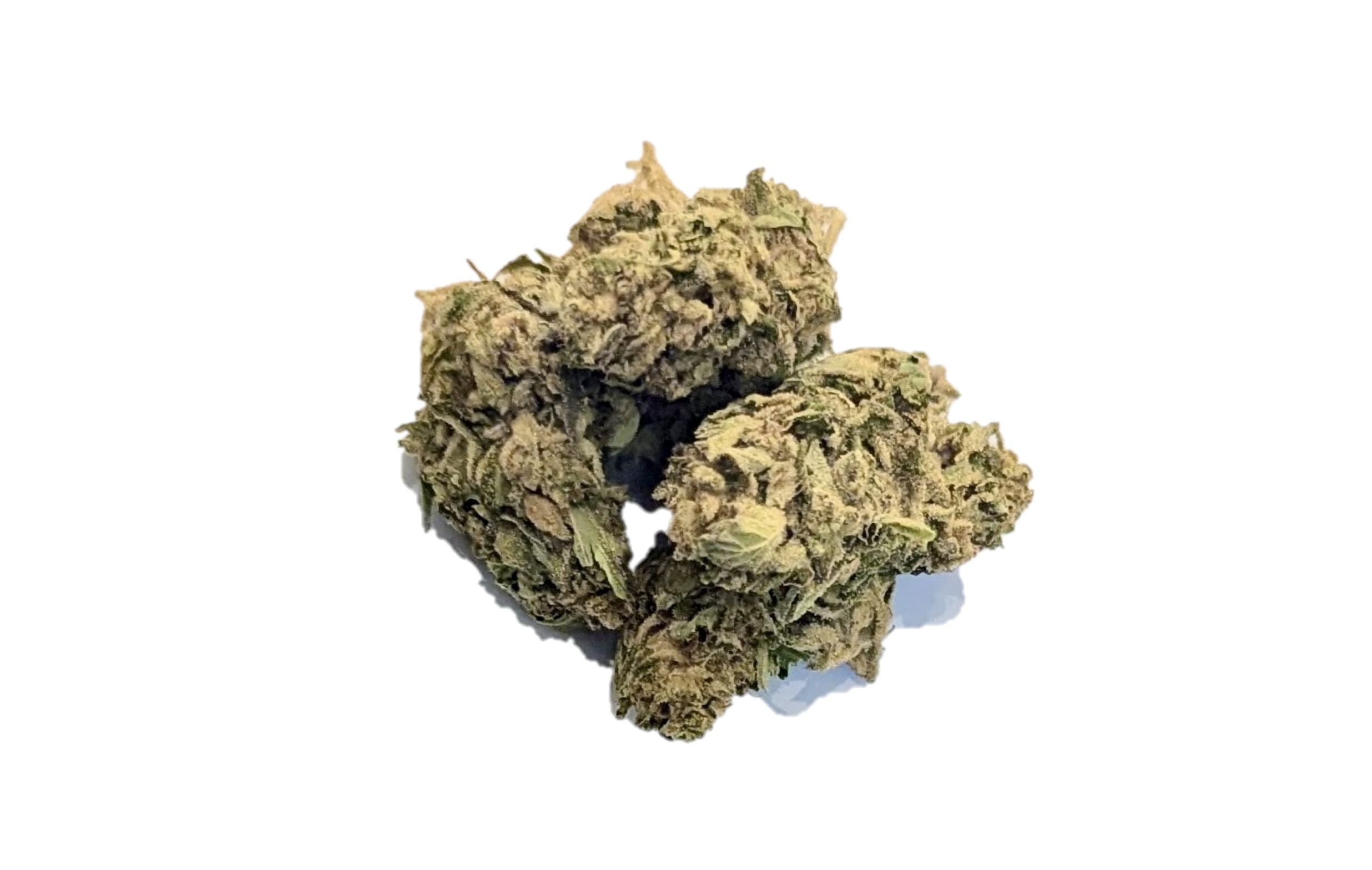 orange sherbert crasher dispensary weed cannabis tree weed shop dc va virginia maryland alexandria fairfax annandale arlington county md oxon hills temple hills national harbor prince george southeast georgetown dc weed delivery gift shop flower edibles cart cartridge thc 420 dispensary near me high dc indica sativa hybrid hammered horse hollywood haze indica moneyball blue widow headband sativa