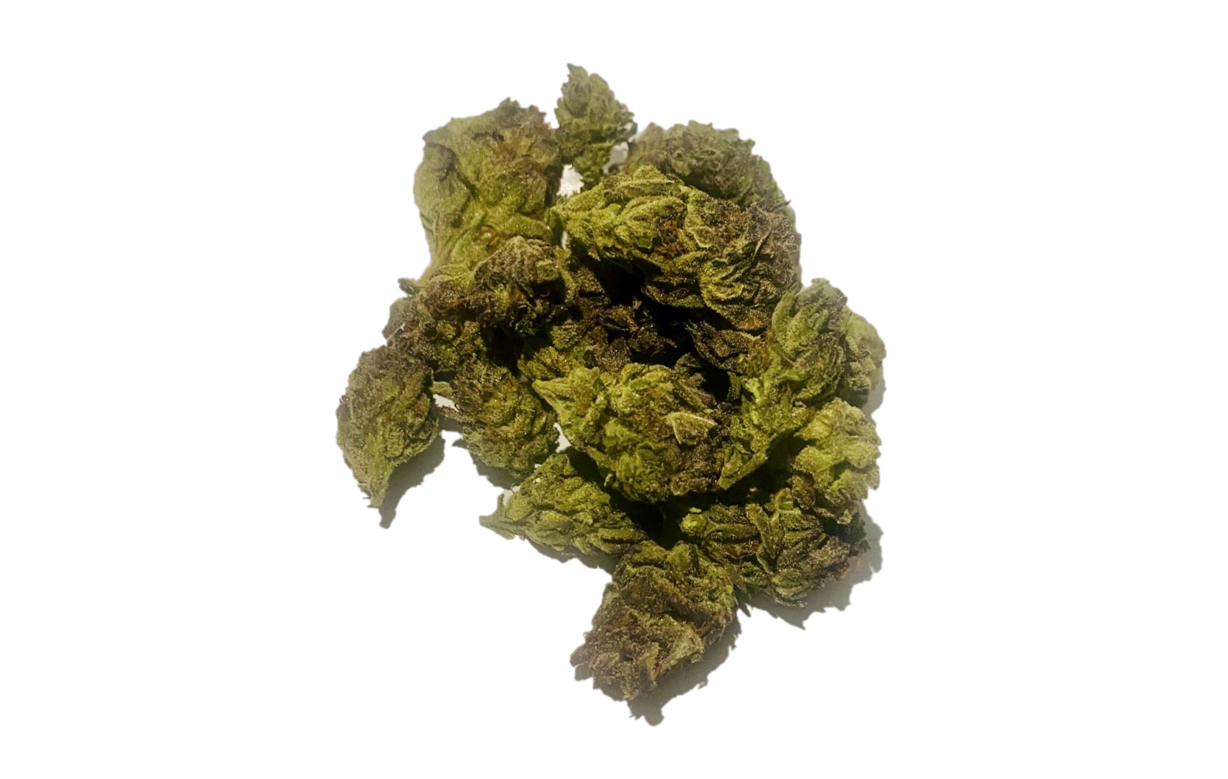 mother of berries durban diesel mochi magic purple petrol first class black friday hybrid elite lemon cherry purple punch indica sour runtz sour ape sativa sharklato hybrid crowdwalker indica spk sour patch sativa dominant hybrid sugar crush biscotti y2 ice cream gelato indica dominant hybrid magic melon sativa gorilla cookie blueberry zkittles indica dominant hybrid godfather og indica citrus plus 2.0 indica gelato zkittles indica dominant hybrid lava cake indica dominant hybrid cookie dough hybrid jealousy indica dominant hybrid tropicana cookies super glue indica dominant hybrid frosted melon cookies hybrid sundae driver sour apple purple runtz sativa indica dominant hybrid pyt jack indica dominant hybrid melon mint pink rozay sativa moonbow island og indica dominant hybrid cannabis marijuana flower strain strand weed near me torch loud pack smoke fire bud high dc delivery exotic smoke dc weed delivery dispensary near me gift gifts weed marijuana va virginia dispensary weed gift shops md maryland oxon hill temple hills national harbor alexandria falls church fairfax arlington weed shop 420dc 420 dc gift gifts black cherry punch indica dominant hybrid fairfax annandale arlington cherry tartz hybrid cherry diesel dirty sprite space cake indica italian ice