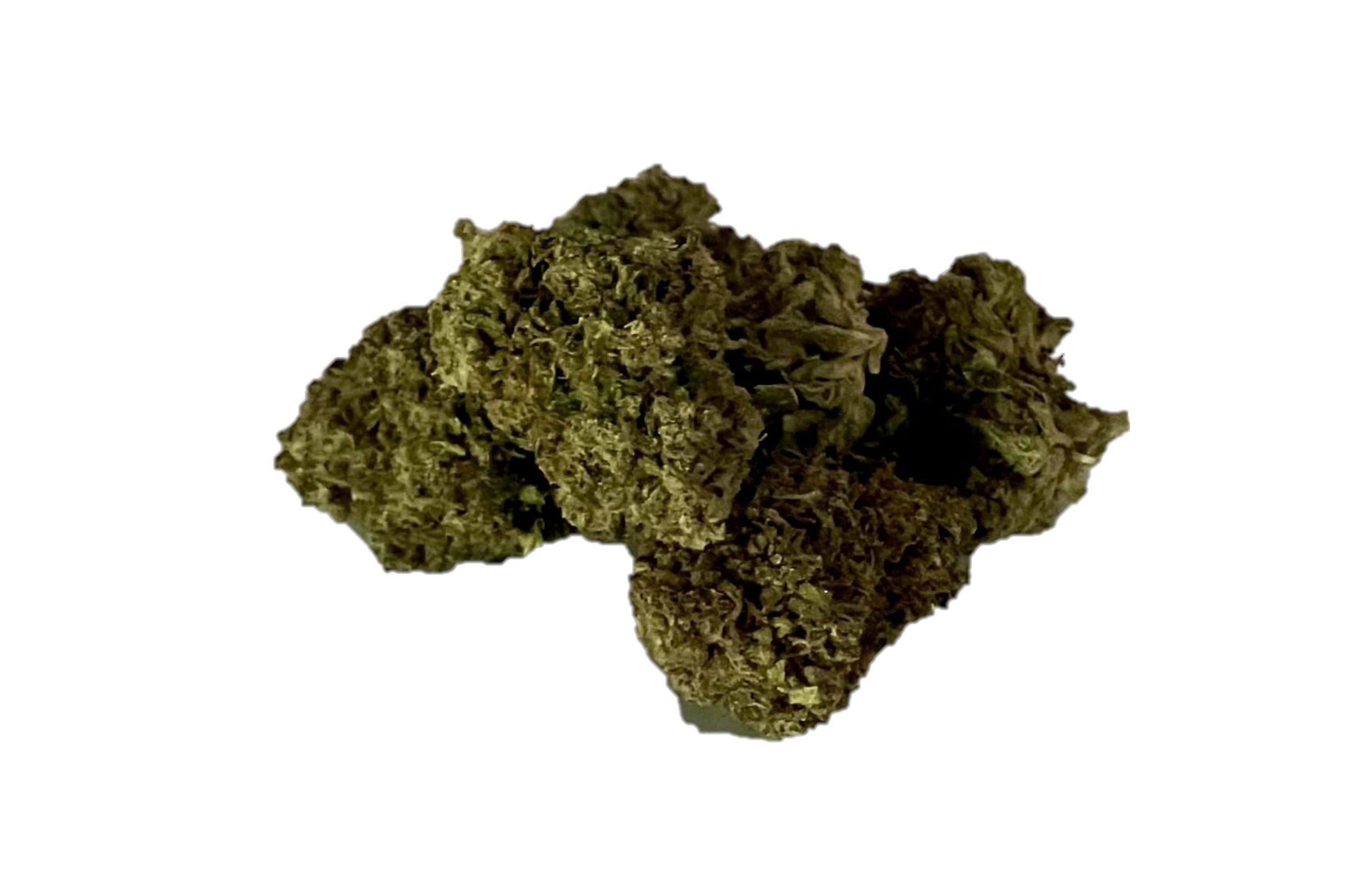 orange sherbert crasher dispensary weed cannabis tree weed shop dc va virginia maryland alexandria fairfax annandale arlington county md oxon hills temple hills national harbor prince george southeast georgetown dc weed delivery gift shop flower edibles cart cartridge thc 420 dispensary near me high dc indica sativa hybrid hammered horse hollywood haze indica moneyball blue widow headband sativa gorilla candy weed near me dispensary near me weed in dc cannabis shop