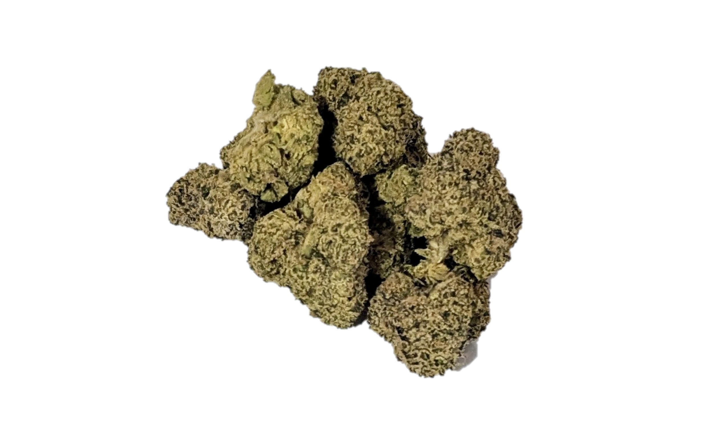 nuclear slurpee mother of berries durban diesel mochi magic purple petrol first class black friday hybrid elite lemon cherry purple punch indica sour runtz sour ape sativa sharklato hybrid crowdwalker indica spk sour patch sativa dominant hybrid sugar crush biscotti y2 ice cream gelato indica dominant hybrid magic melon sativa gorilla cookie blueberry zkittles indica dominant hybrid godfather og indica citrus plus 2.0 indica gelato zkittles indica dominant hybrid lava cake indica dominant hybrid cookie dough hybrid jealousy indica dominant hybrid tropicana cookies super glue indica dominant hybrid frosted melon cookies hybrid sundae driver sour apple purple runtz sativa indica dominant hybrid pyt jack indica dominant hybrid melon mint pink rozay sativa moonbow island og indica dominant hybrid cannabis marijuana flower strain strand weed near me torch loud pack smoke fire bud high dc delivery exotic smoke dc weed delivery dispensary near me gift gifts weed marijuana va virginia dispensary weed gift shops md maryland oxon hill temple hills national harbor alexandria falls church fairfax arlington weed shop 420dc 420 dc gift gifts black cherry punch indica dominant hybrid fairfax annandale arlington cherry tartz hybrid cherry diesel dirty sprite