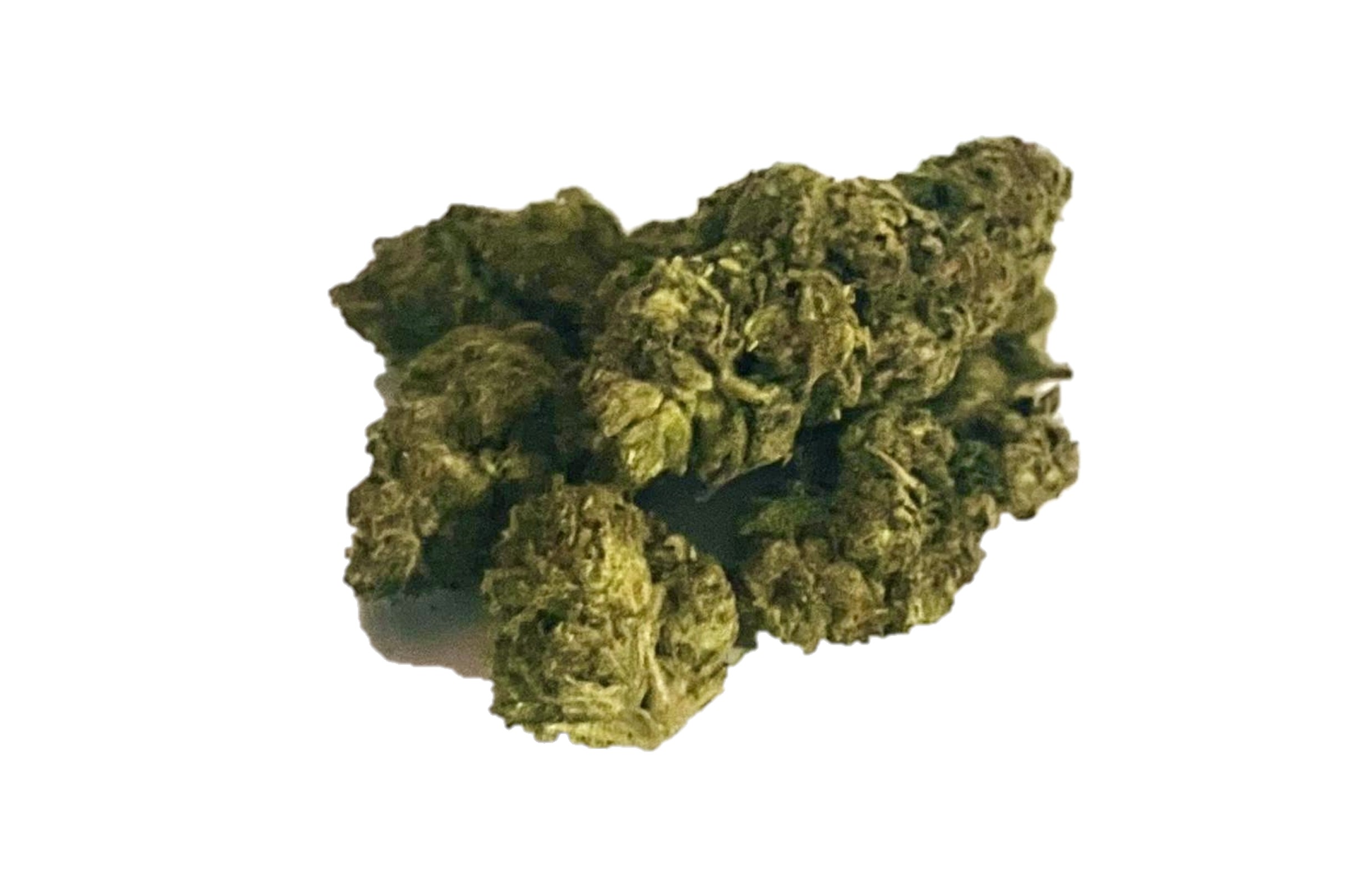 nuclear slurpee mother of berries durban diesel mochi magic purple petrol first class black friday hybrid elite lemon cherry purple punch indica sour runtz sour ape sativa sharklato hybrid crowdwalker indica spk sour patch sativa dominant hybrid sugar crush biscotti y2 ice cream gelato indica dominant hybrid magic melon sativa gorilla cookie blueberry zkittles indica dominant hybrid godfather og indica citrus plus 2.0 indica gelato zkittles indica dominant hybrid lava cake indica dominant hybrid cookie dough hybrid jealousy indica dominant hybrid tropicana cookies super glue indica dominant hybrid frosted melon cookies hybrid sundae driver sour apple purple runtz sativa indica dominant hybrid pyt jack indica dominant hybrid melon mint pink rozay sativa moonbow island og indica dominant hybrid cannabis marijuana flower strain strand weed near me torch loud pack smoke fire bud high dc delivery exotic smoke dc weed delivery dispensary near me gift gifts weed marijuana va virginia dispensary weed gift shops md maryland oxon hill temple hills national harbor alexandria falls church fairfax arlington weed shop 420dc 420 dc gift gifts black cherry punch indica dominant hybrid fairfax annandale arlington cherry tartz hybrid cherry diesel dirty sprite oreo blizzy weed near me dispensary near me cannabis near me weed shop cannabis shop marijuana thc