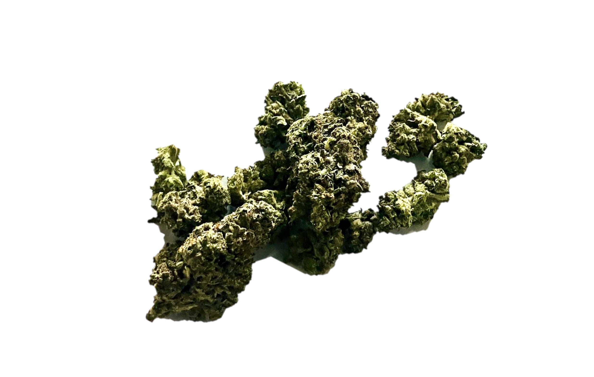 orange sherbert crasher dispensary weed cannabis tree weed shop dc va virginia maryland alexandria fairfax annandale arlington county md oxon hills temple hills national harbor prince george southeast georgetown dc weed delivery gift shop flower edibles cart cartridge thc 420 dispensary near me high dc indica sativa hybrid hammered horse hollywood haze indica moneyball blue widow headband sativa gorilla candy weed near me dispensary near me weed in dc cannabis shop sour zkittlez