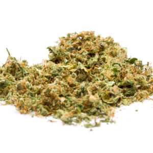 nuclear slurpee mother of berries durban diesel mochi magic purple petrol first class black friday hybrid elite lemon cherry purple punch indica sour runtz sour ape sativa sharklato hybrid crowdwalker indica spk sour patch sativa dominant hybrid sugar crush biscotti y2 ice cream gelato indica dominant hybrid magic melon sativa gorilla cookie blueberry zkittles indica dominant hybrid godfather og indica citrus plus 2.0 indica gelato zkittles indica dominant hybrid lava cake indica dominant hybrid cookie dough hybrid jealousy indica dominant hybrid tropicana cookies super glue indica dominant hybrid frosted melon cookies hybrid sundae driver sour apple purple runtz sativa indica dominant hybrid pyt jack indica dominant hybrid melon mint pink rozay sativa moonbow island og indica dominant hybrid cannabis marijuana flower strain strand weed near me torch loud pack smoke fire bud high dc delivery exotic smoke dc weed delivery dispensary near me gift gifts weed marijuana va virginia dispensary weed gift shops md maryland oxon hill temple hills national harbor alexandria falls church fairfax arlington weed shop 420dc 420 dc gift gifts black cherry punch indica dominant hybrid fairfax annandale arlington cherry tartz hybrid cherry diesel dirty sprite oreo blizzy weed near me dispensary near me cannabis near me weed shop cannabis shop marijuana thc