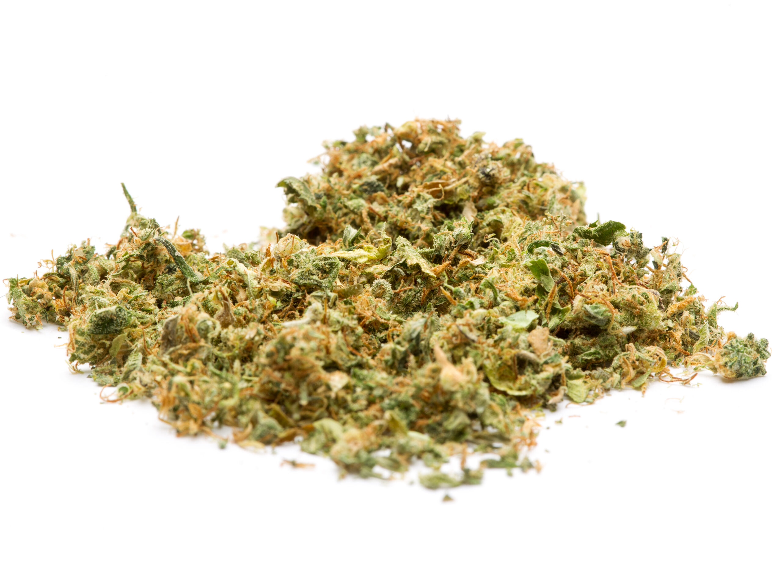 nuclear slurpee mother of berries durban diesel mochi magic purple petrol first class black friday hybrid elite lemon cherry purple punch indica sour runtz sour ape sativa sharklato hybrid crowdwalker indica spk sour patch sativa dominant hybrid sugar crush biscotti y2 ice cream gelato indica dominant hybrid magic melon sativa gorilla cookie blueberry zkittles indica dominant hybrid godfather og indica citrus plus 2.0 indica gelato zkittles indica dominant hybrid lava cake indica dominant hybrid cookie dough hybrid jealousy indica dominant hybrid tropicana cookies super glue indica dominant hybrid frosted melon cookies hybrid sundae driver sour apple purple runtz sativa indica dominant hybrid pyt jack indica dominant hybrid melon mint pink rozay sativa moonbow island og indica dominant hybrid cannabis marijuana flower strain strand weed near me torch loud pack smoke fire bud high dc delivery exotic smoke dc weed delivery dispensary near me gift gifts weed marijuana va virginia dispensary weed gift shops md maryland oxon hill temple hills national harbor alexandria falls church fairfax arlington weed shop 420dc 420 dc gift gifts black cherry punch indica dominant hybrid fairfax annandale arlington cherry tartz hybrid cherry diesel dirty sprite oreo blizzy weed near me dispensary near me cannabis near me weed shop cannabis shop marijuana thc