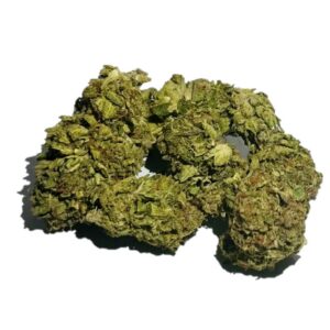 pineapple runtz orange sherbert crasher dispensary weed cannabis tree weed shop dc va virginia maryland alexandria fairfax annandale arlington county md oxon hills temple hills national harbor prince george southeast georgetown dc weed delivery gift shop flower edibles cart cartridge thc 420 dispensary near me high dc indica sativa hybrid hammered horse hollywood haze indica moneyball blue widow headband sativa gorilla candy weed near me dispensary near me weed in dc cannabis shop sour zkittlez