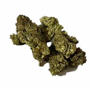 limoncello lemon cherry gelato hybrid wifi pie indica dominant hybrid ice queen sativa dominant hybrid ocean fruits hybrid berry haze sativa mai tai hybrid purple lemonade sativa dominant hybrid gorilla bomb hybrid oreo cookies strawberries and cream sativa dominant hybridblueberry skittles hope og white gusherz indica dominant hybrid cannabis flower marijuana weed pack bud loud high dc delivery weed delivery service va weed virginia weed va dispensary virginia dispensary dc weed shop c dispensary thc gift shop donation dc exotic weed delivery washington dc md maryland alexandria national harbor oxon hill weed shop near me falls church fairfax springfield annandale alexandria city tysons corner oxon hill temple hills cannabis shop