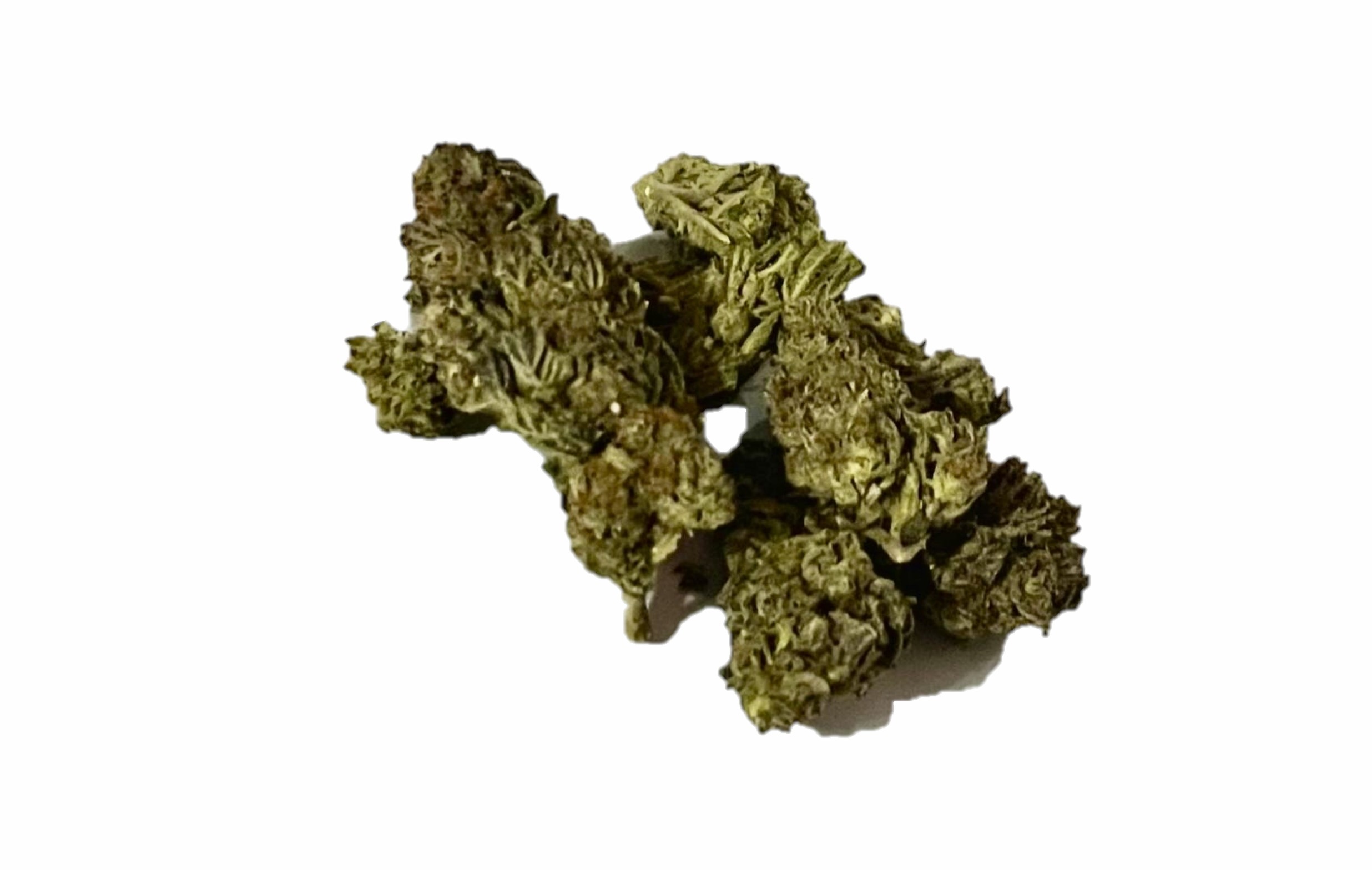 limoncello lemon cherry gelato hybrid wifi pie indica dominant hybrid ice queen sativa dominant hybrid ocean fruits hybrid berry haze sativa mai tai hybrid purple lemonade sativa dominant hybrid gorilla bomb hybrid oreo cookies strawberries and cream sativa dominant hybridblueberry skittles hope og white gusherz indica dominant hybrid cannabis flower marijuana weed pack bud loud high dc delivery weed delivery service va weed virginia weed va dispensary virginia dispensary dc weed shop c dispensary thc gift shop donation dc exotic weed delivery washington dc md maryland alexandria national harbor oxon hill weed shop near me falls church fairfax springfield annandale alexandria city tysons corner oxon hill temple hills cannabis shop