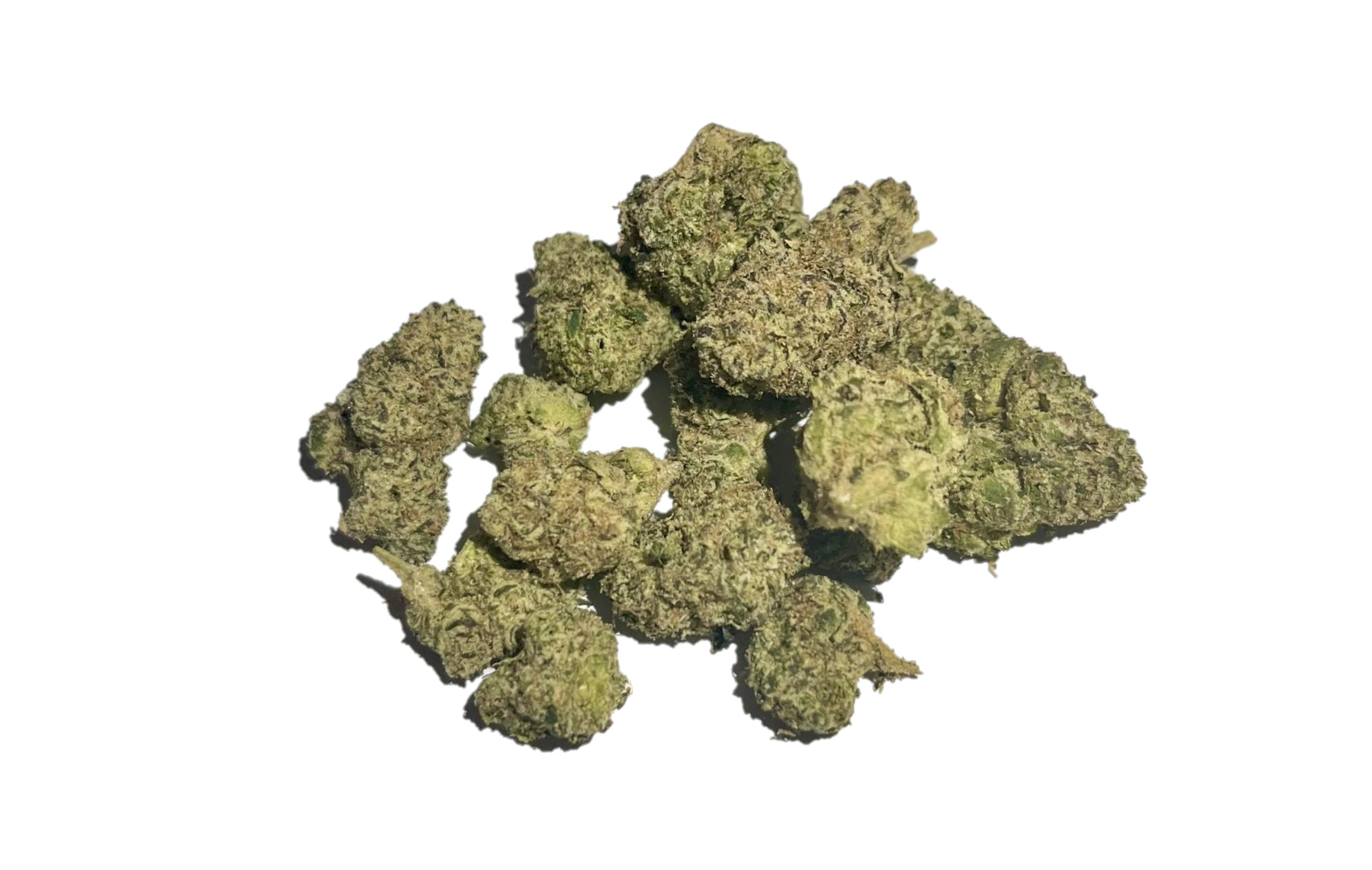 purple milk zkittles gorilla skittlez indica dominant hybrid diablo og sativa dominant hybrid marijuana cannabis flower bud zaza za loud pack bud smoke fire exotic exotics high dc delivery dc weed delivery md maryland va virginia washington dc gift shop gifts donation donations thc 420 dc dispensary near me weed near me loud alexandria fairfax annandale arlington falls church oxon hill national harbor temple hills md maryland gift weed shop jelly roll vice city